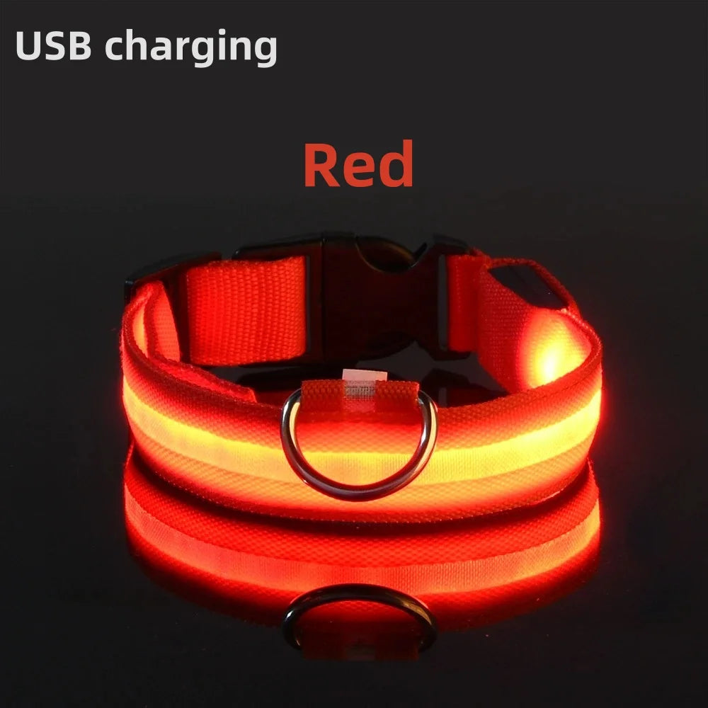 LED Luminous Dog Collar – USB Rechargeable Adjustable Glows