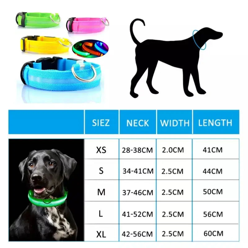 LED Luminous Dog Collar – USB Rechargeable Adjustable Glows