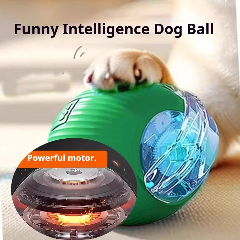 Smart Interactive Dog Ball Toy | Automatic Rolling Rechargeable Toy for Puppies & Dogs.